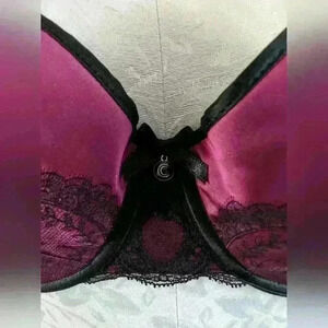 Chantelle Satiny Lace Bra Size 38 D